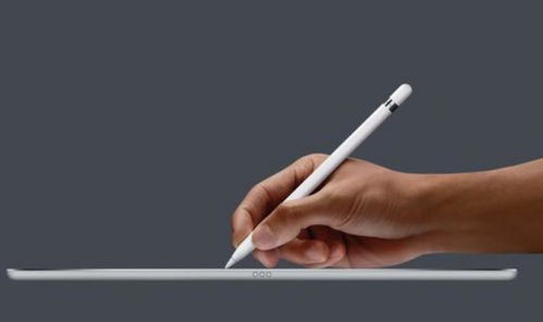 小米平板5專屬手寫筆曝光 MIUI生產力或對標iPad OS